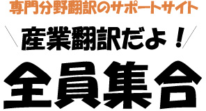 Chinese Simplified Pinyin To English Japanese Manualzz
